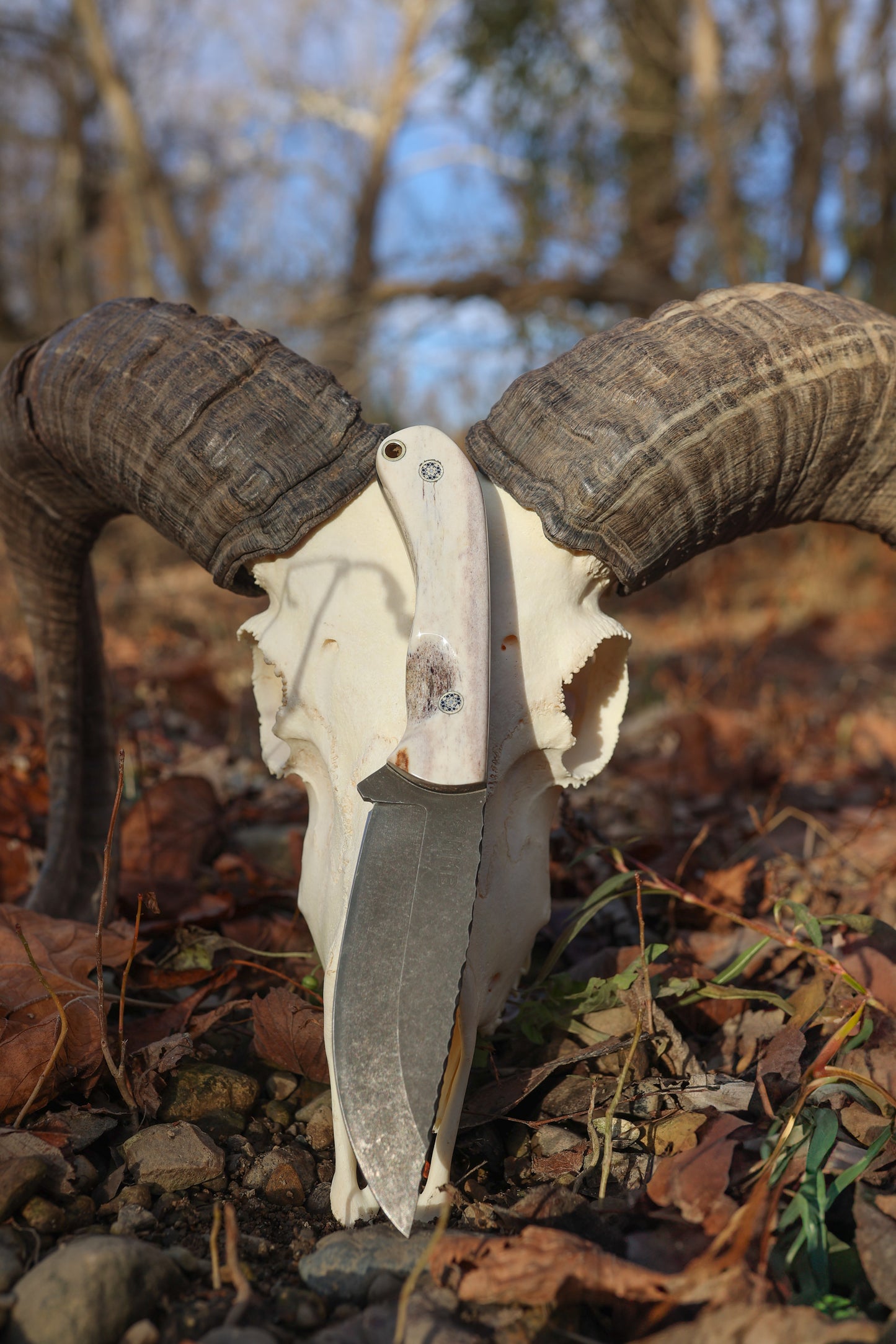 Series 1 CUSTOM FULL - Full Northern Rocky Mountain Elk, Mosaic Pins, Contoured grip.