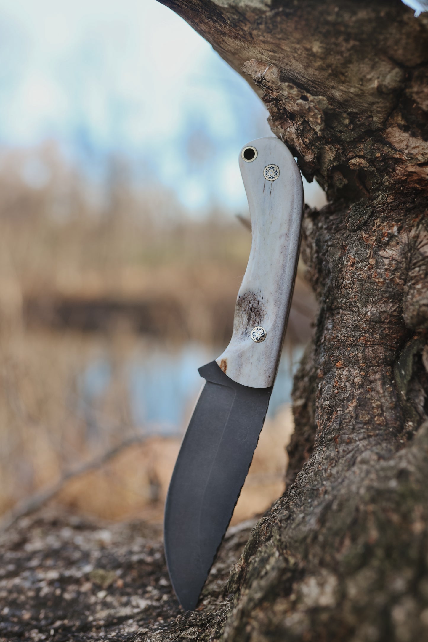 Series 1 CUSTOM Jr - Full Northern Rocky Mountain Elk, Mosaic Pins, Contoured grip.