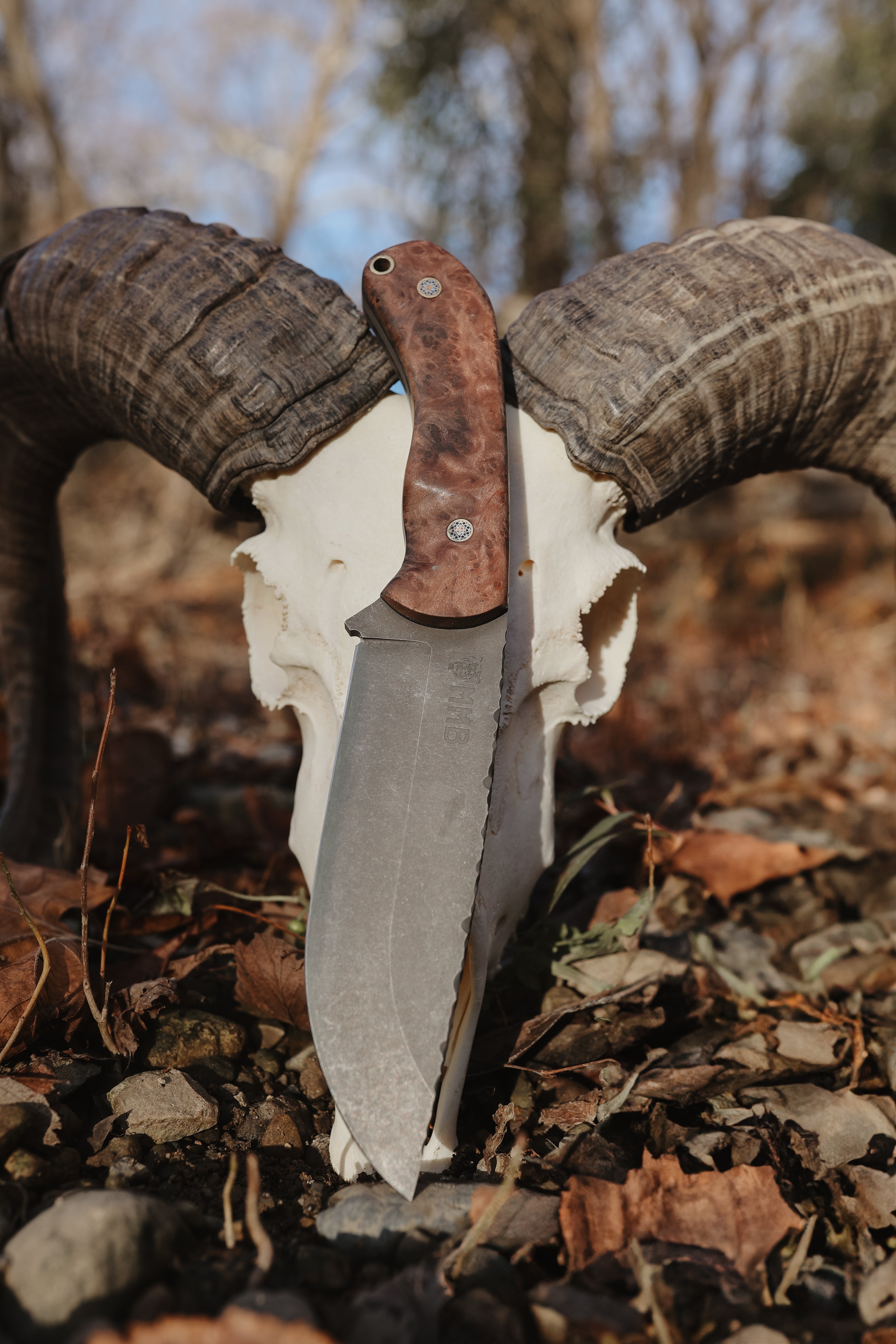 Custom Handmade Knife - Full Amboyna Burl Handle | Mountain Man Blades