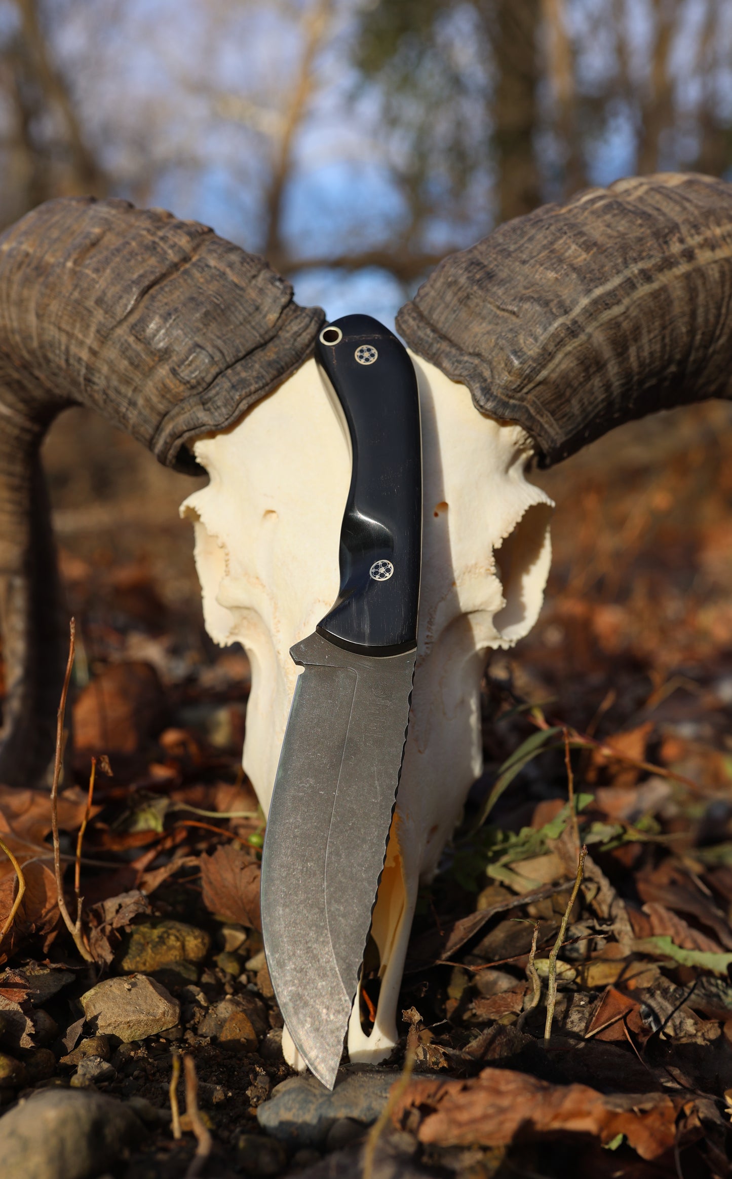 Series 1 CUSTOM Jr - Full Northern Rocky Mountain Ram, Mosaic Pins, Contoured grip.